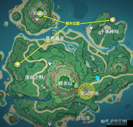 原神逢岳之野栖木羽毛位置全揭秘