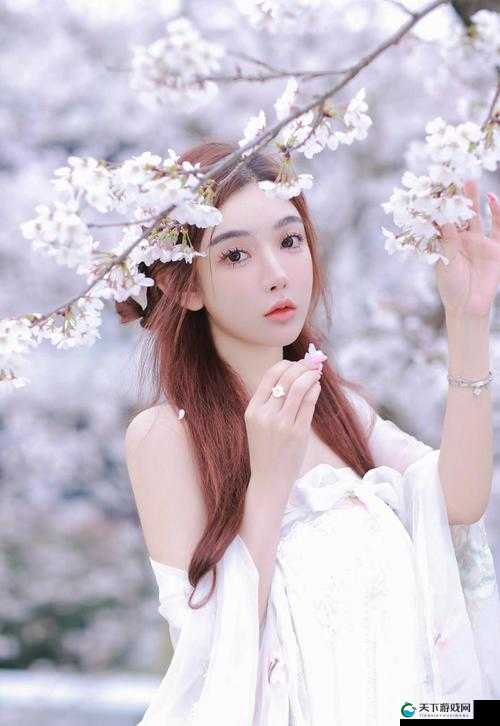 三年片高清免费观看完整版：畅享精彩大片无需付费