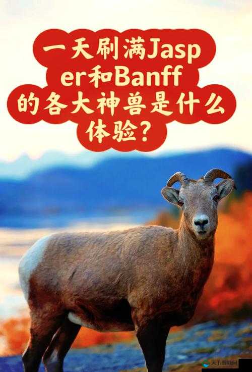 人马畜禽companylimited的动物明星们开启奇妙冒险之旅