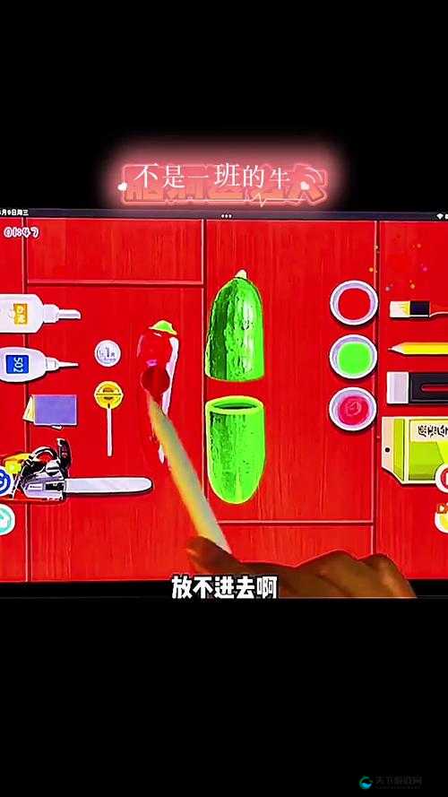共享玩具作者卡门以外:开启玩具共享的奇妙之旅
