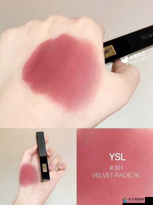 ysl 蜜桃色 neo：让你美丽加倍的时尚之选