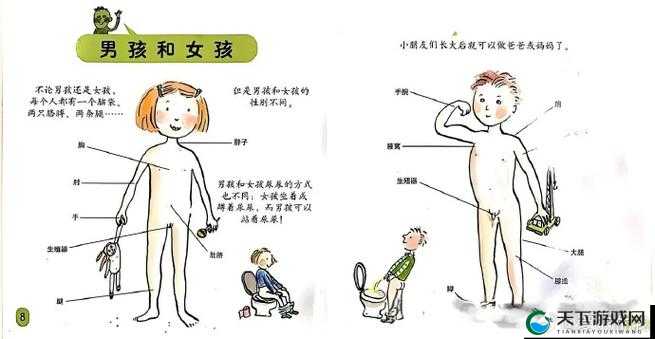 freecom 性：追求自由与解放的性观念