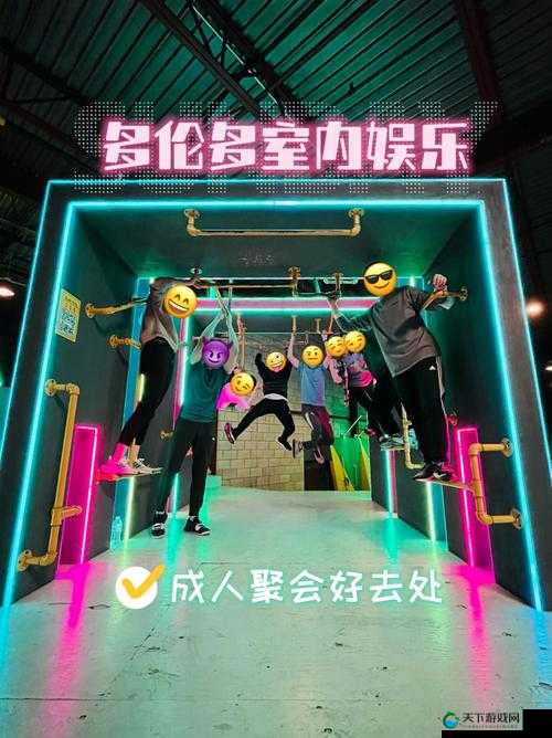 十八成年人网：打造成年人娱乐新境界