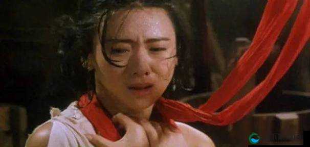 中国女人：一部充满争议的黃色大片