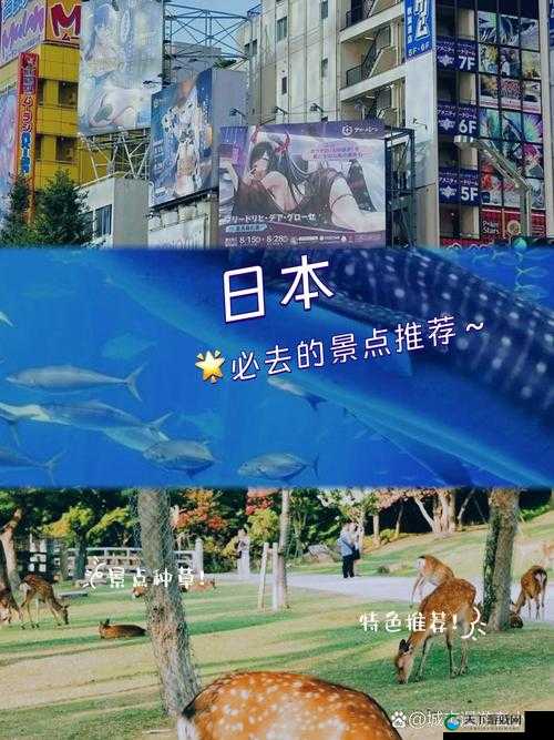 日韩二区：探寻独特文化风情与时尚潮流的魅力之旅