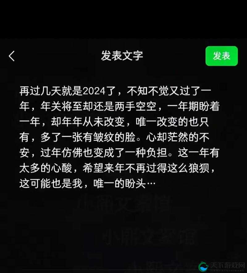 2024 年 B 站永不收费，持续为用户提供优质内容