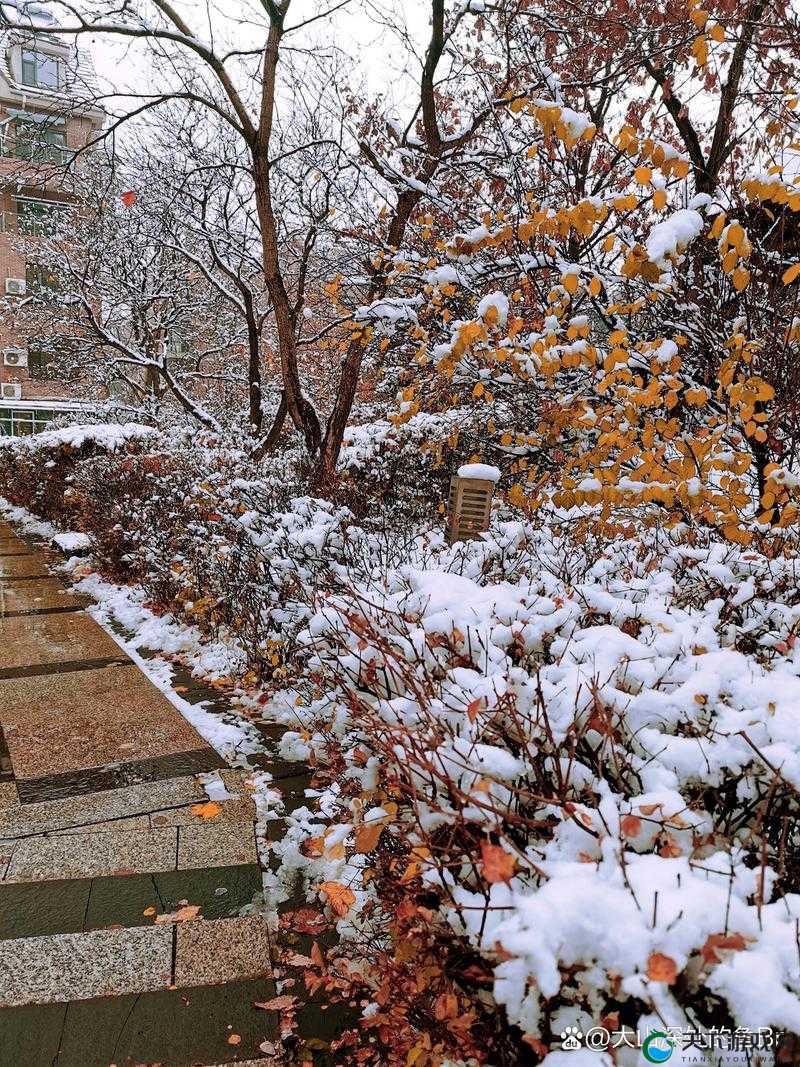 她开始慢迎迎合徐平雪的别样故事