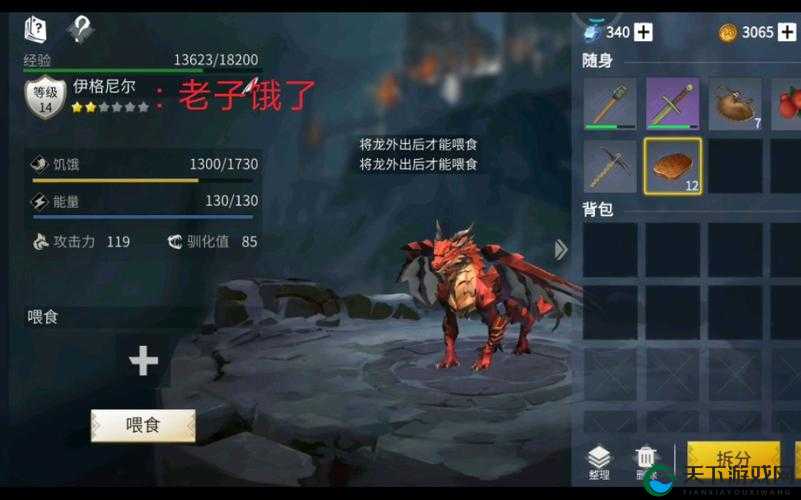 冰原守卫者冰龙蛋获得攻略