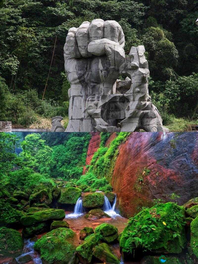 久宍视频：一部引人入胜且充满独特魅力的影像作品