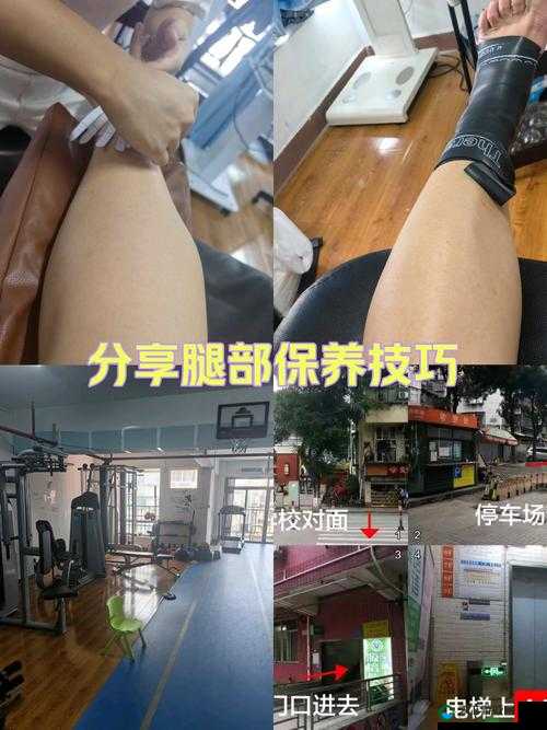 纳西ちゃん腿法解析：深入剖析其独特腿部技巧