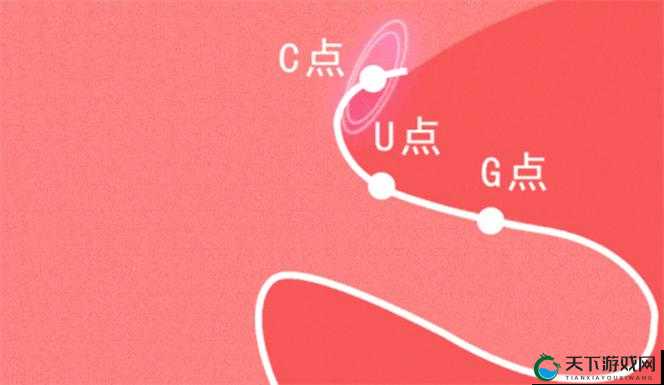 新手自 W 到高 C 教程视频:详细指导助你探索极致体验