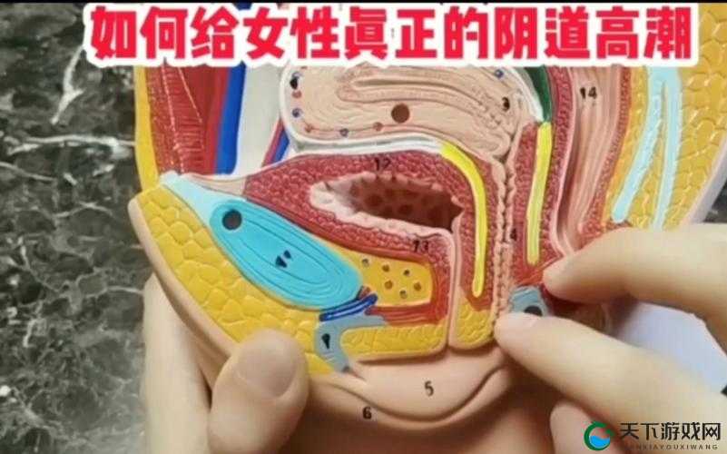 俄罗斯女人高潮时具体喊什么的神秘之声探讨