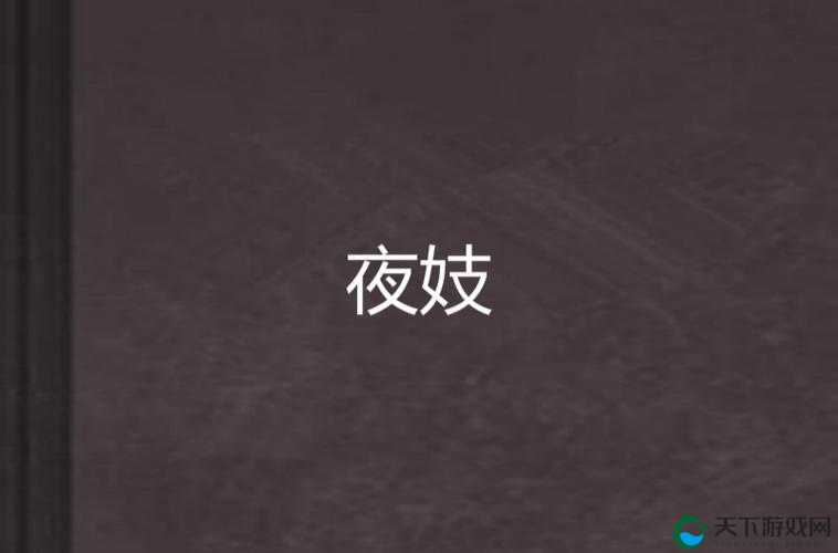 夜爽伎女 8888 熟女老少配：揭秘夜场背后的灰色产业链