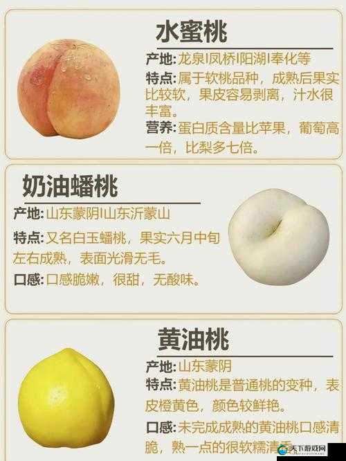 桃子植入的 10000 种黄油的奇妙探索之旅