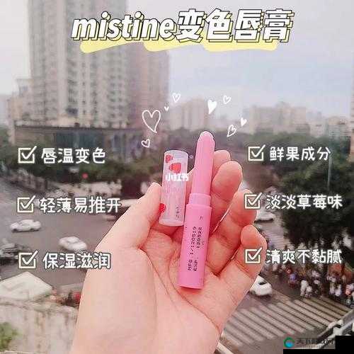 蜜丝婷大草莓和小草莓对比详解:你需要知道的一切
