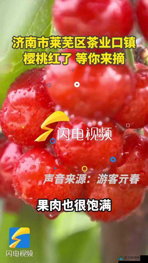 樱桃红视频在线看免费观看：精彩内容等你来发掘