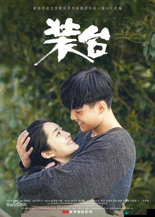 最好看的中文字幕国语电视剧：不容错过的精彩剧集