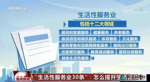 CL1916 网：聚焦专业领域，提供优质服务