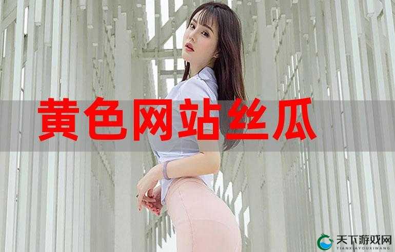 成年人璜铯视频网站：探索私密领域的入口