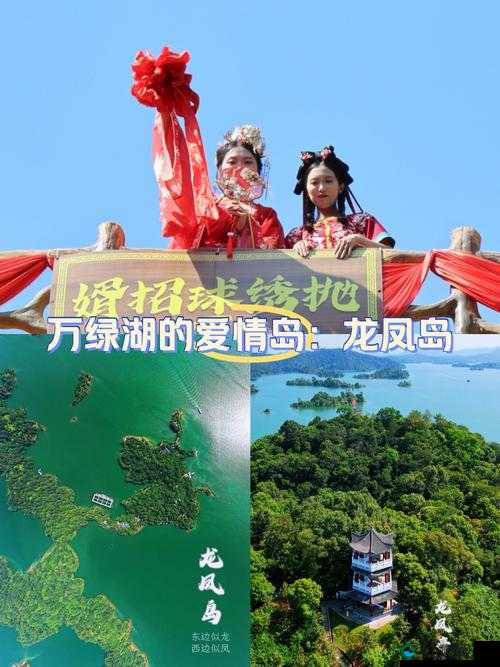 爱情岛久久：一场浪漫且独特的情感之旅