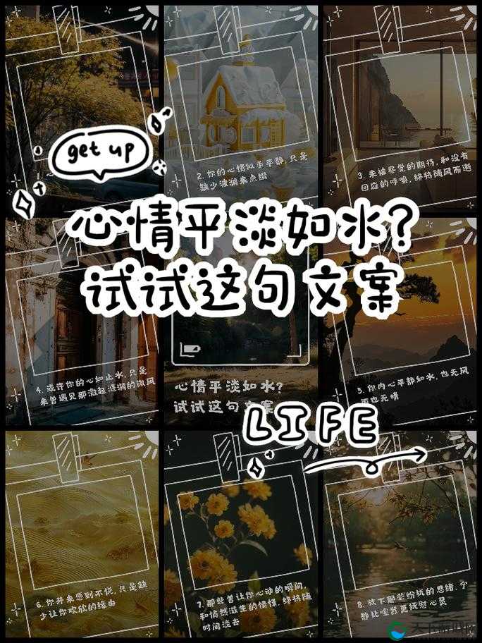 轻点太深了——探究其中蕴含的深意与缘由