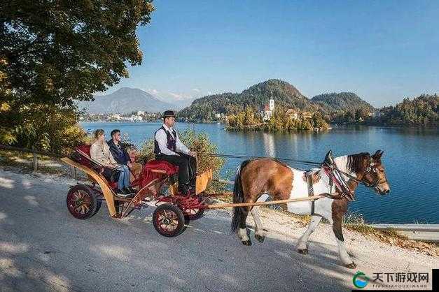 马车上的欢乐：一段充满欢声笑语的独特旅程