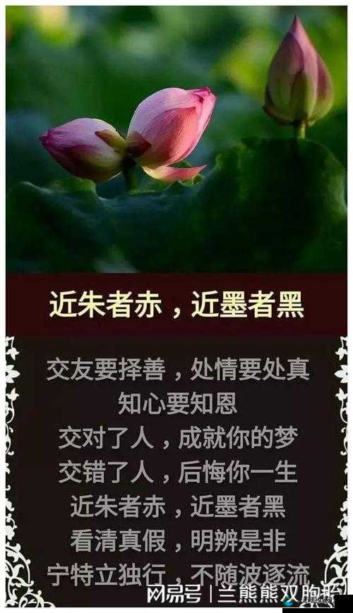 黑料网正能量爆料：那些鼓舞人心的真实故事