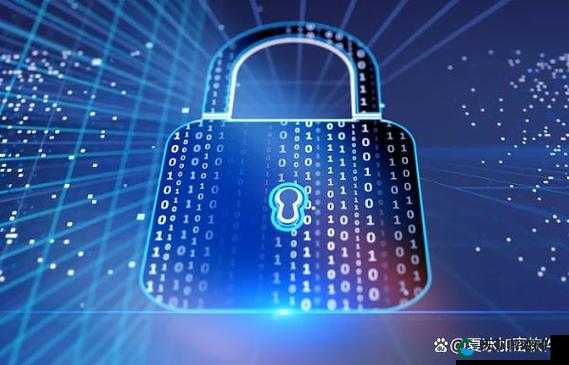 点击进入加密通道：保护隐私的安全通道