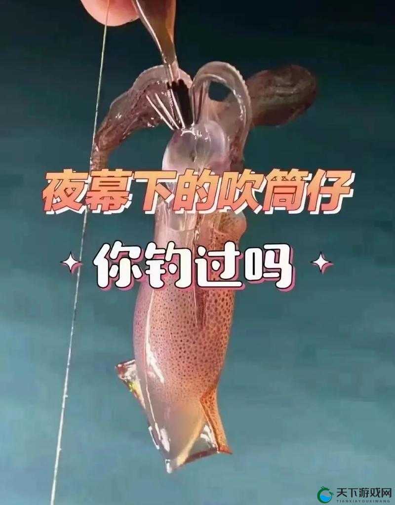 鱿鱼官网 by1381：一个值得你深入探索的神奇平台
