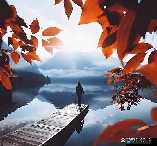 国产乱ⅩXXX66:探究真实背后的人性与社会现象