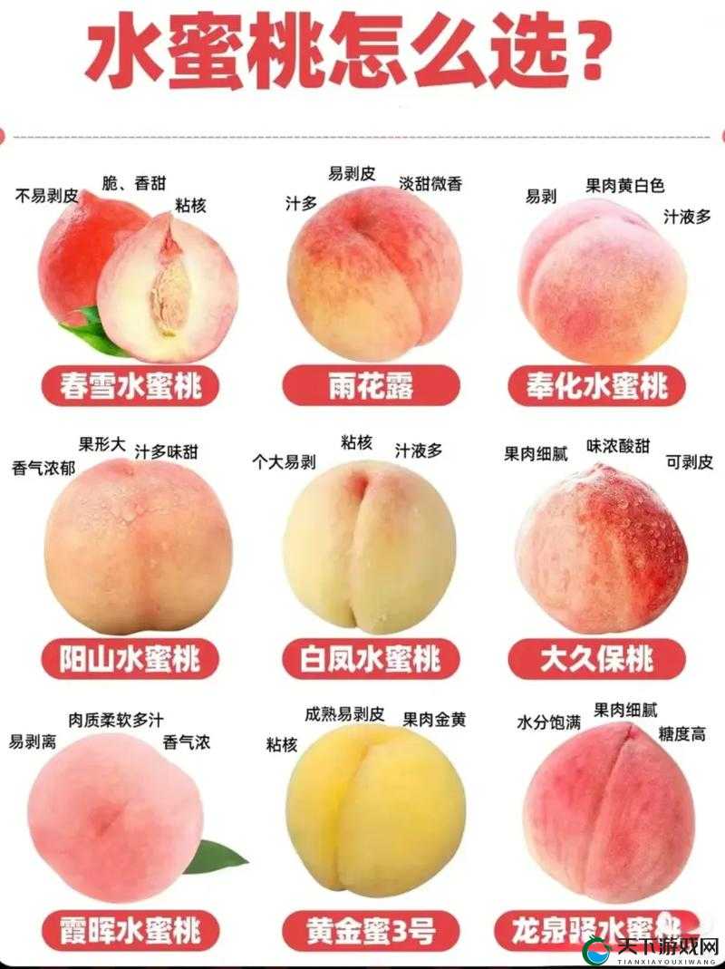 欧产日产国产水蜜桃的特点及不同地区水蜜桃对比分析