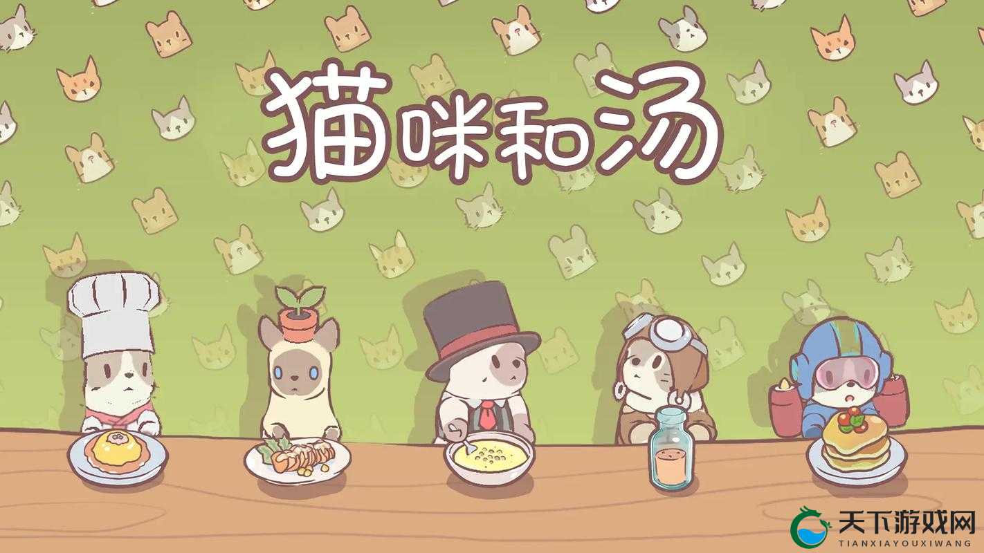 猫咪和汤怎么进入猫猫房间：一场奇妙的冒险之旅
