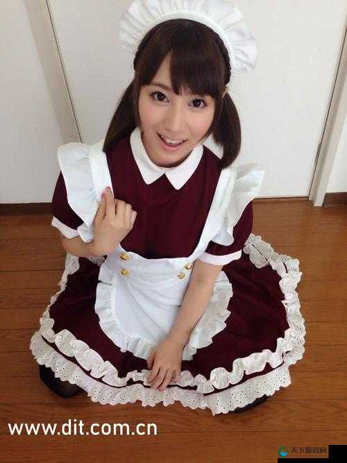 兽皇 Qvod 带来独特观影体验与精彩故事