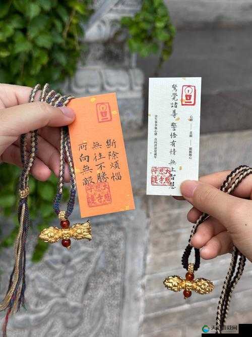 金刚杵直入莲花宫所蕴含的神秘寓意探讨