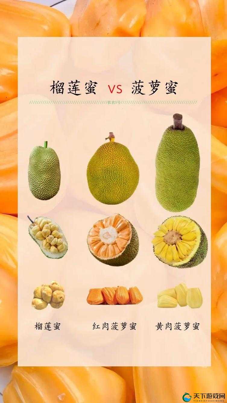 草莓菠萝黄瓜榴莲秋葵大全:丰富多样的果蔬盛宴
