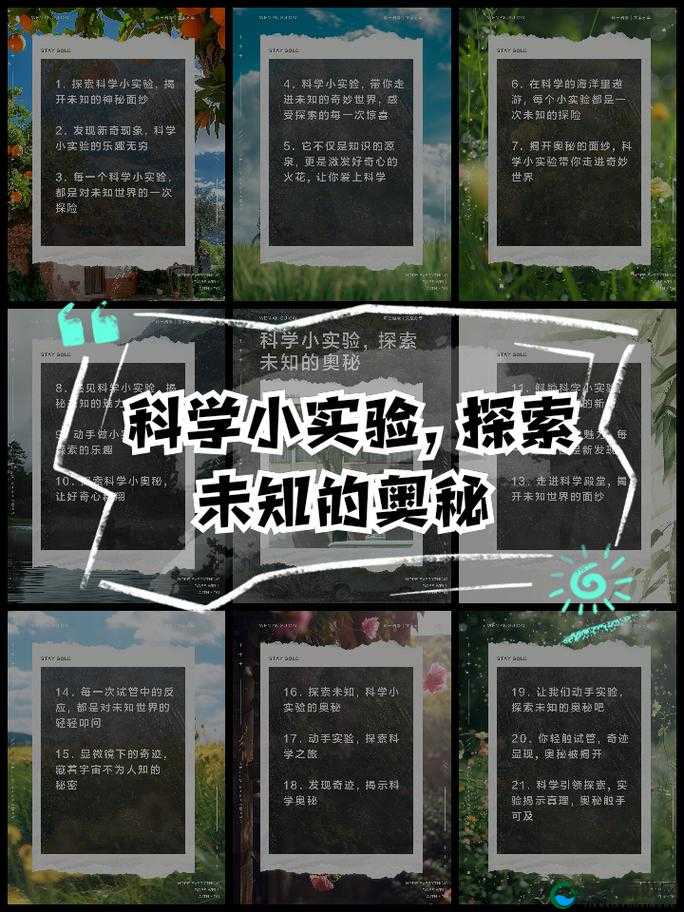 中文字幕 42 页：探索未知的奥秘