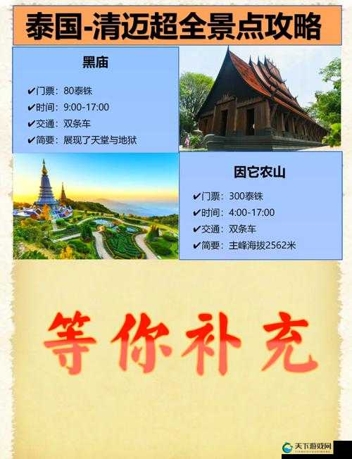 东南亚 10 一 12 仙踪林的旅游景点：探秘神秘仙境的绝美之旅