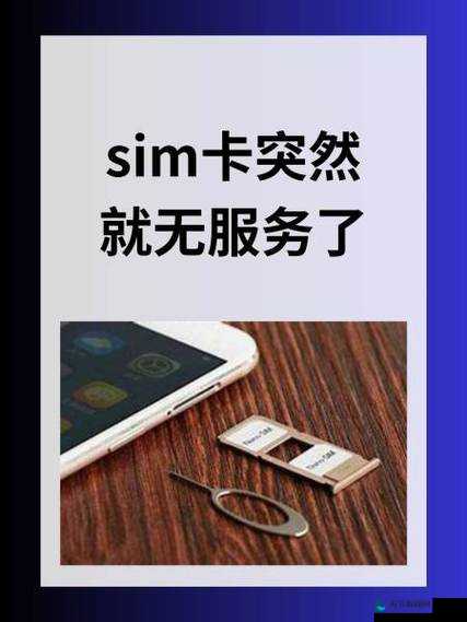 国产一卡 2 卡 3 卡 4 卡有限公司：专注于数字媒体服务的领军企业