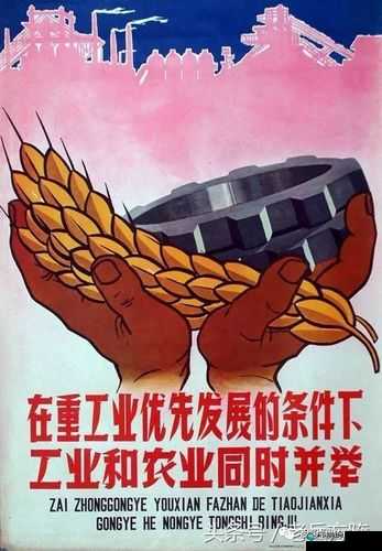 疯狂燃烧的柴火垛：探寻经典背后的激情与疯狂