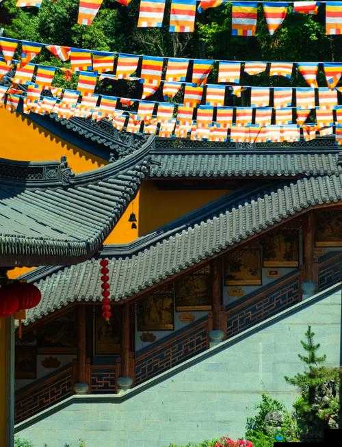 王氏寺庙奇妙之旅：在寺庙中体验几天的宁静与快乐