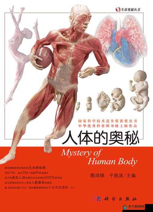 体内精汇编 6：探索人体奥秘的独特视角
