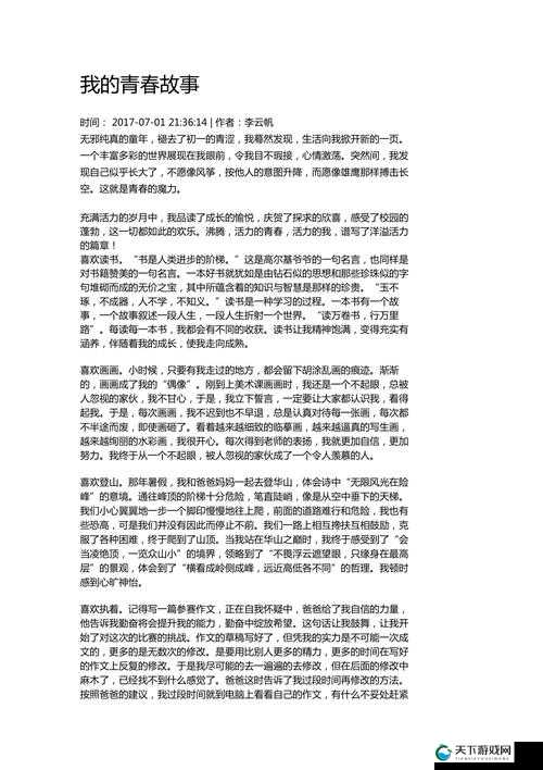 日本 16 岁 maxbook 之青春成长与梦想追求的故事