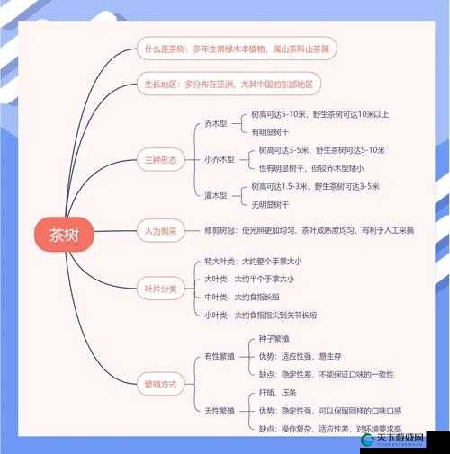 亚洲一线产区和二线产区：探索亚洲茶叶的奥秘