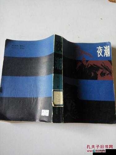 夜潮 8.5 品 3117：关于它的详细介绍与深度分析