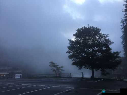 公车艳遇HD高清播放：一场令人难忘的视觉体验之旅