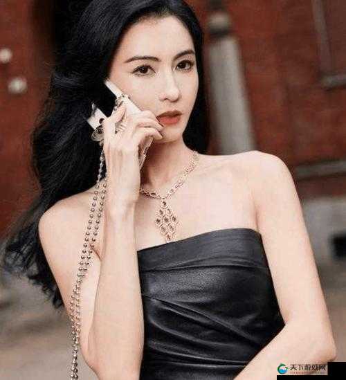 最新张柏芝导航，带你领略不一样的精彩视界