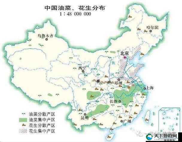 国产一产区二产区：探寻中国制造业的基石