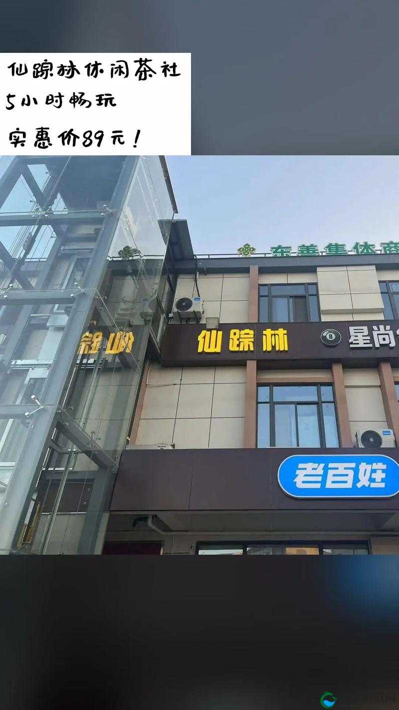 2024 仙踪林站欢迎您的到来：开启梦幻之旅的大门