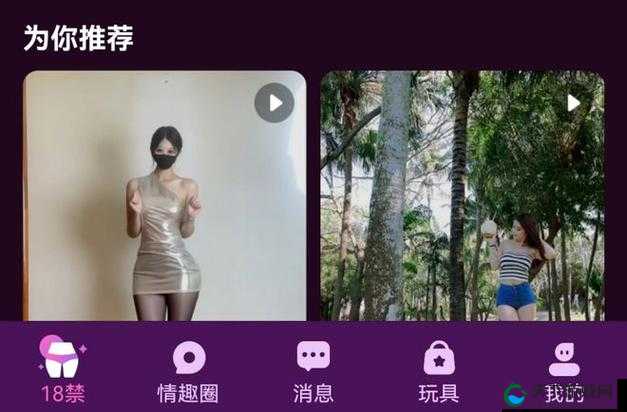 成年人 18 禁啪啪免费网站：探索私密世界的乐园