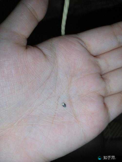 有一根又黑又硬的木棍在角落里默默伫立